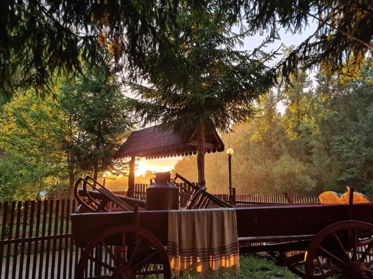 Hôtel La Pădure à Brebu Extérieur photo