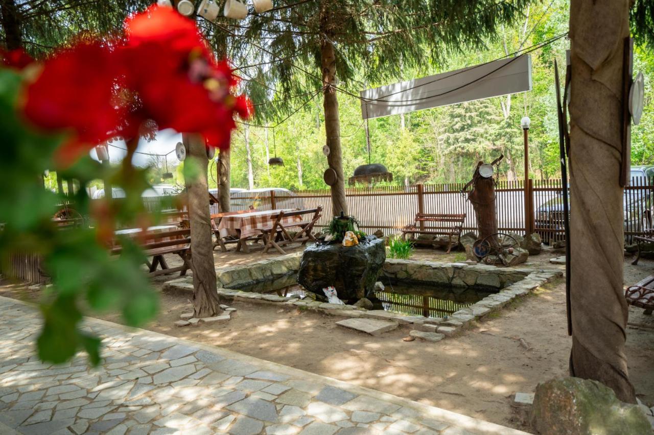Hôtel La Pădure à Brebu Extérieur photo