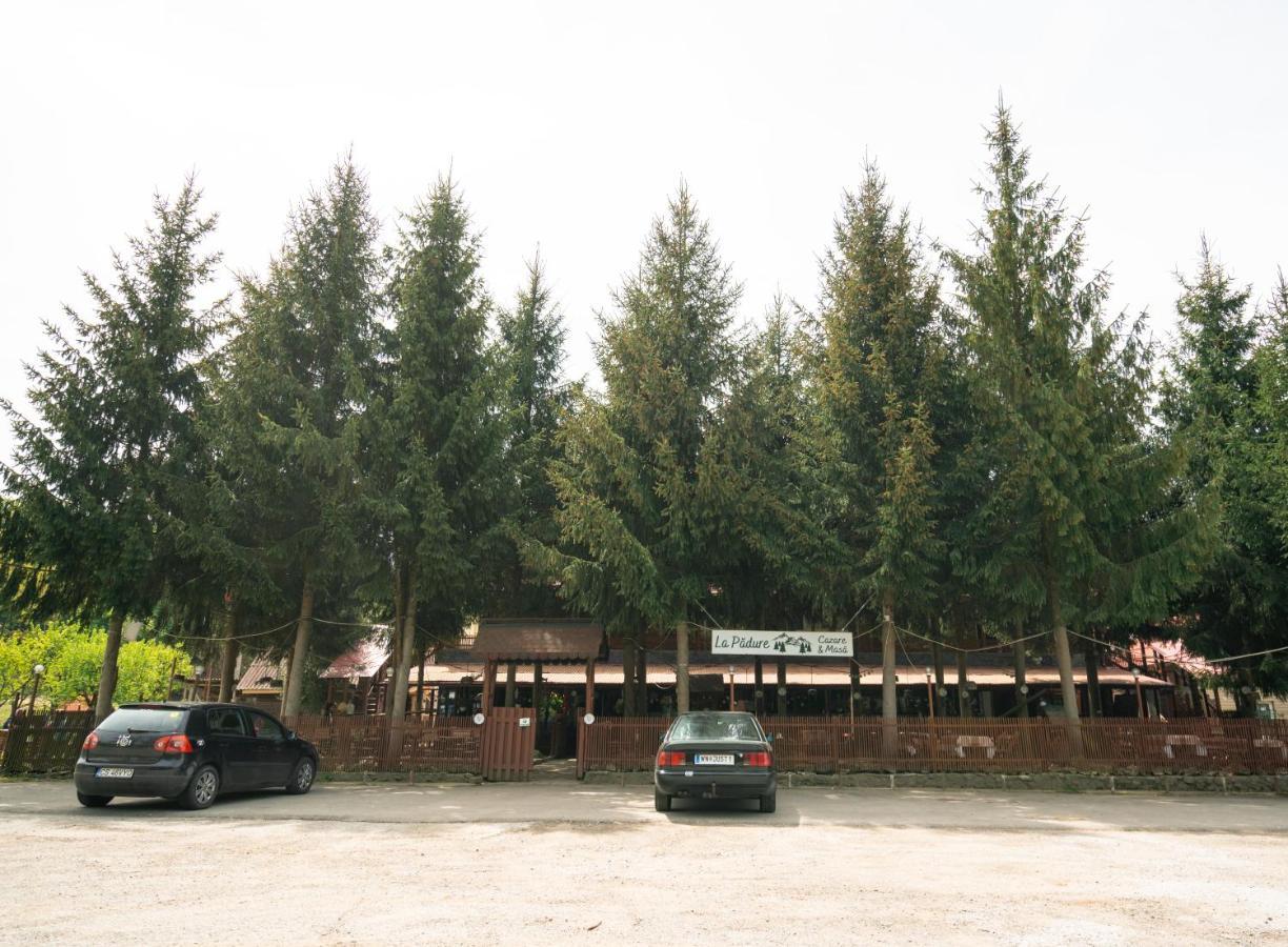 Hôtel La Pădure à Brebu Extérieur photo