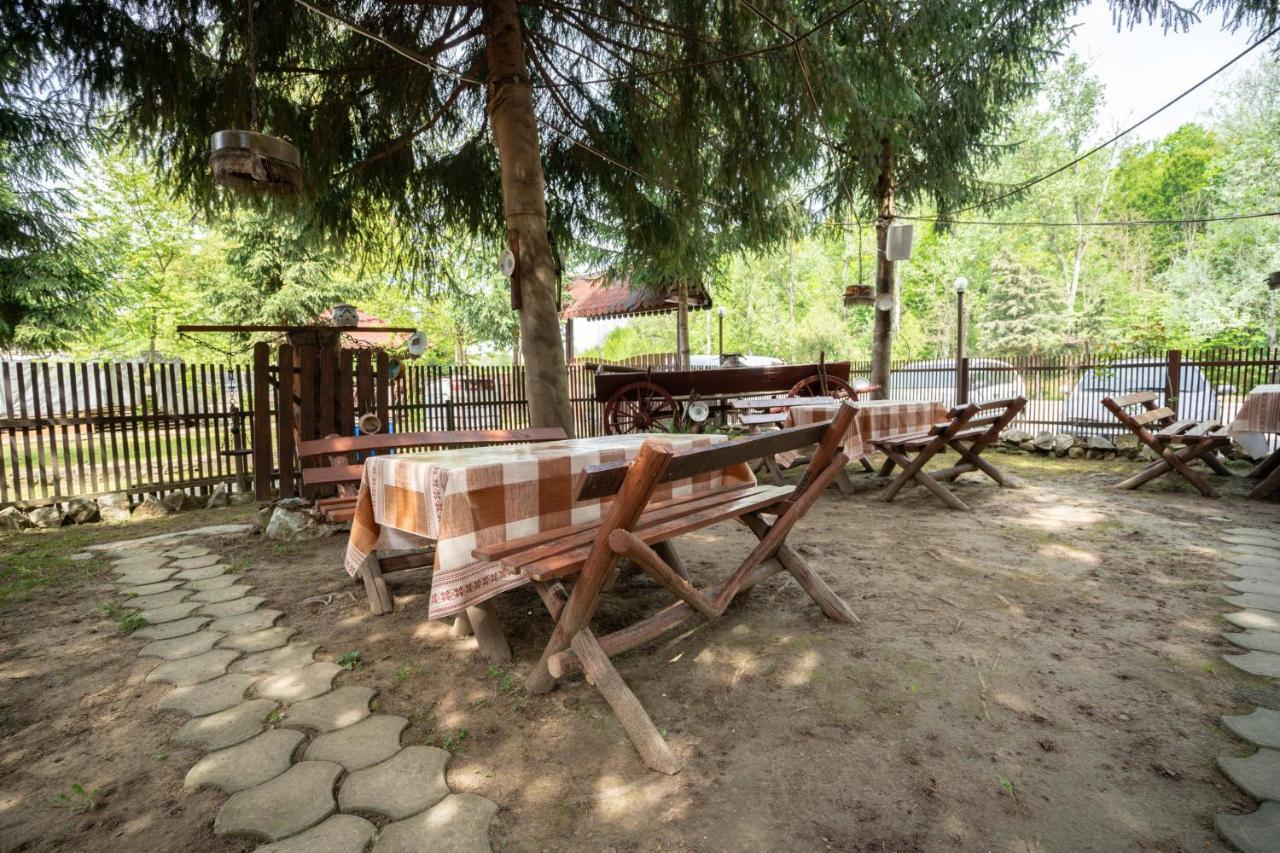 Hôtel La Pădure à Brebu Extérieur photo